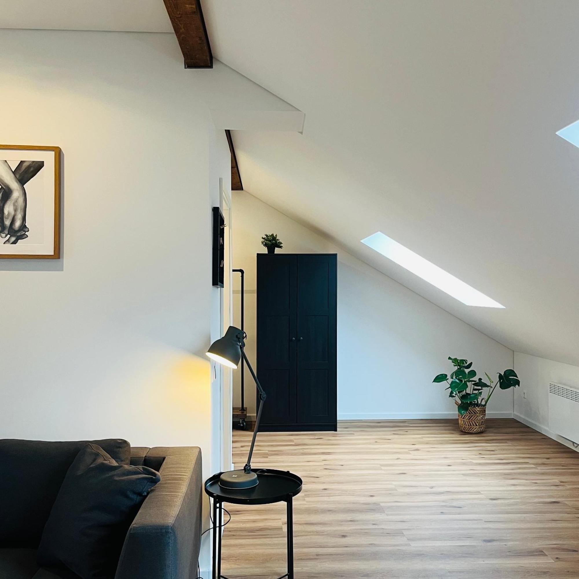 City Loft Apartment Bad Saeckingen Dış mekan fotoğraf